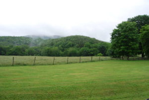 Pasture with fenceline and mountains in background