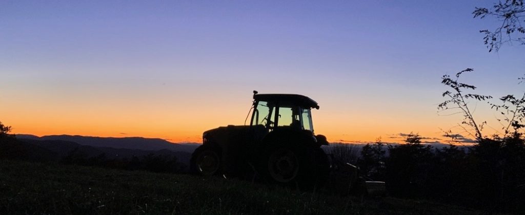There Has Never Been a More Crucial Time to Preserve Virginia Farmland